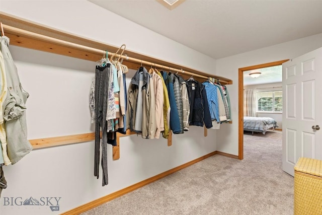 125 N Pheasant Dr, Bozeman, MT 59718 - spacious closet featuring carpet flooring