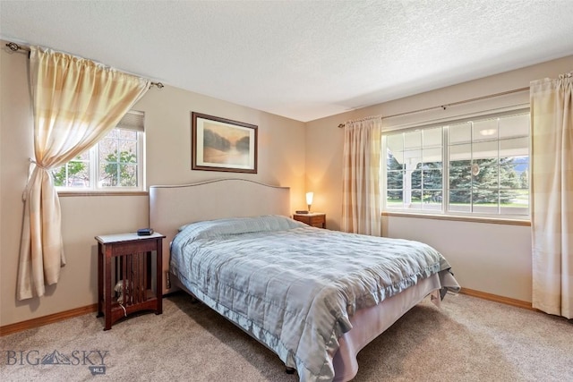 125 N Pheasant Dr, Bozeman, MT 59718 - bedroom with light carpet, baseboards, and a textured ceiling