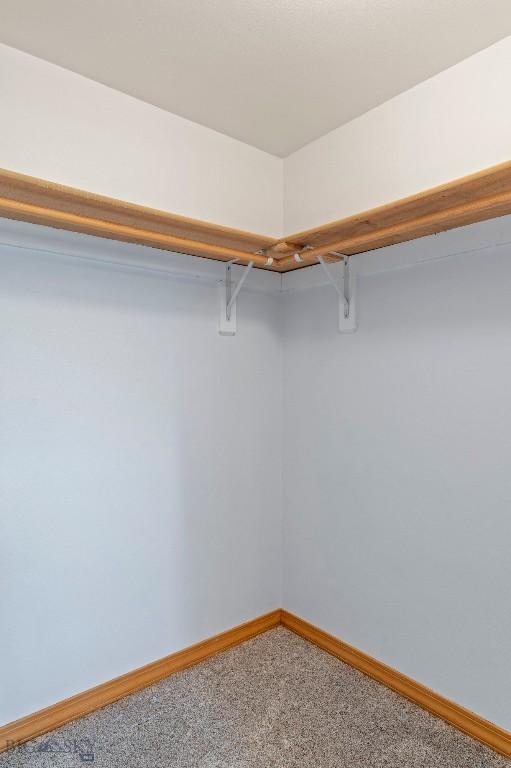 125 N Pheasant Dr, Bozeman, MT 59718 - walk in closet featuring carpet floors