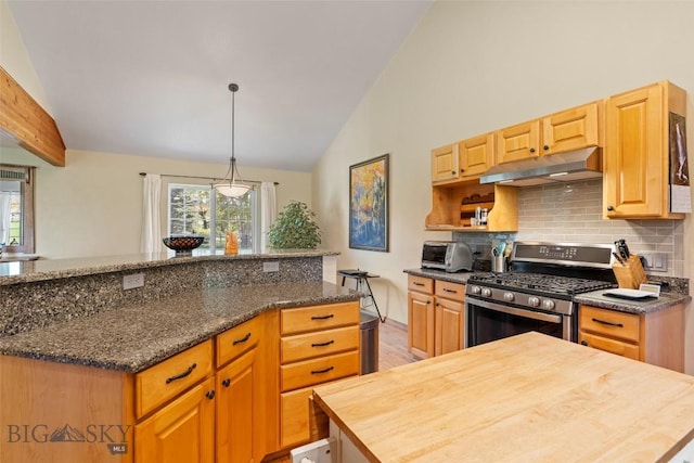 125 N Pheasant Dr, Bozeman, MT 59718 - kitchen with under cabinet range hood, stainless steel gas stove, a kitchen island, decorative backsplash, and wood finished floors