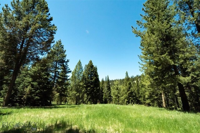 715 Colters Run Loop Lot 25, Gallatin Gateway, MT 59730 - view of wooded area