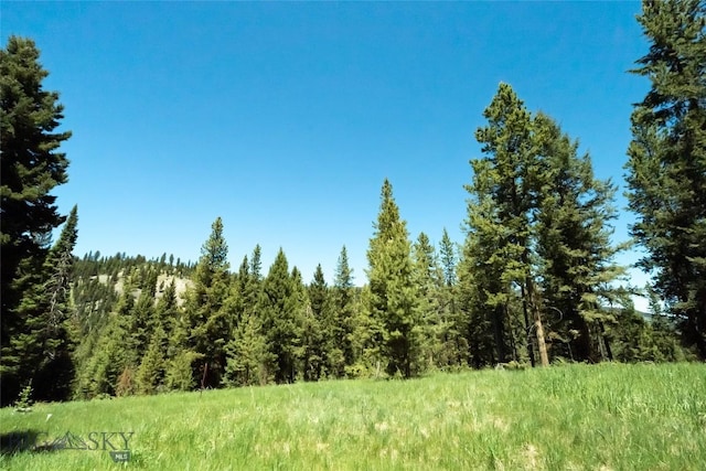 715 Colters Run Loop Lot 25, Gallatin Gateway, MT 59730 - view of wooded area
