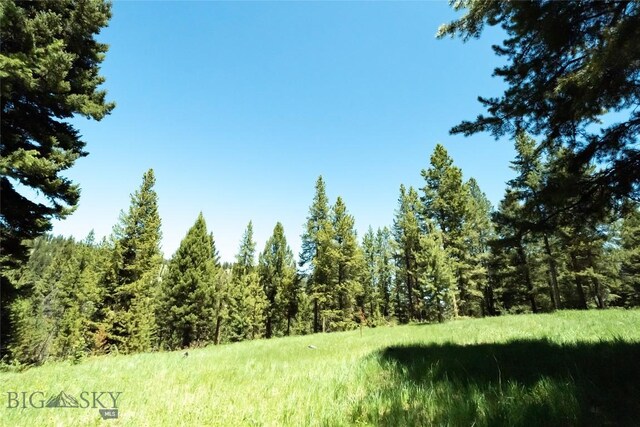 715 Colters Run Loop Lot 25, Gallatin Gateway, MT 59730 - view of wooded area