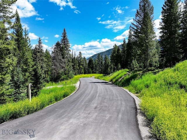 715 Colters Run Loop Lot 25, Gallatin Gateway, MT 59730 - view of asphalt road with a wooded view and a mountain view