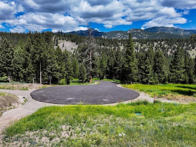 715 Colters Run Loop Lot 25, Gallatin Gateway, MT 59730 - view of mountain background featuring a forest
