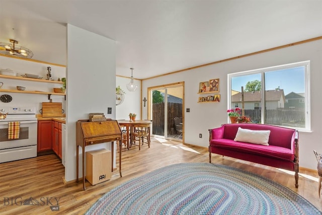 577 W Shore Dr, Belgrade, MT 59714 - living room featuring light wood-type flooring and plenty of natural light