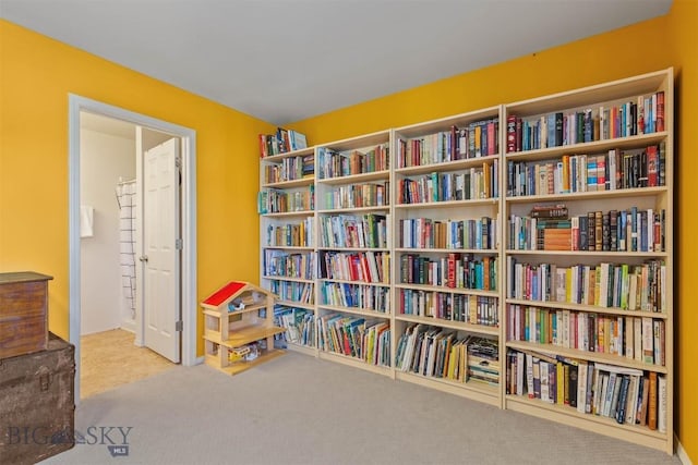 577 W Shore Dr, Belgrade, MT 59714 - sitting room with carpet and bookshelves