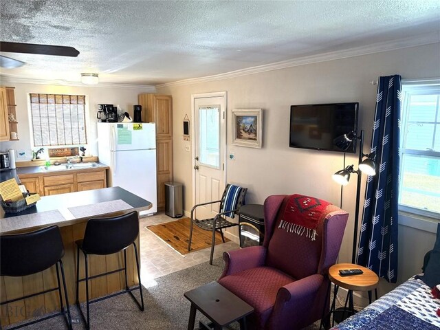 207 2nd St E, Clyde Park, MT 59018 - living area with crown molding and a textured ceiling