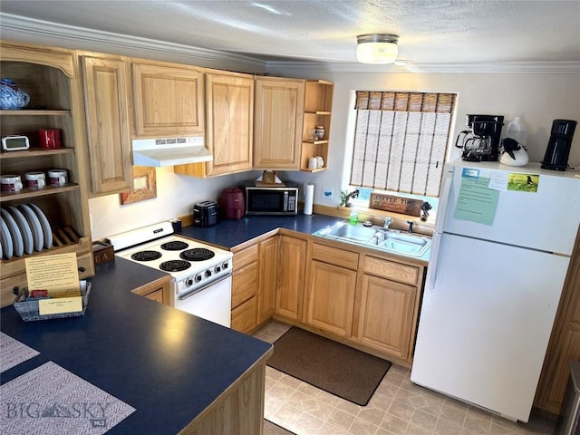 207 2nd St E, Clyde Park, MT 59018 - kitchen with white appliances, under cabinet range hood, a sink, open shelves, and dark countertops
