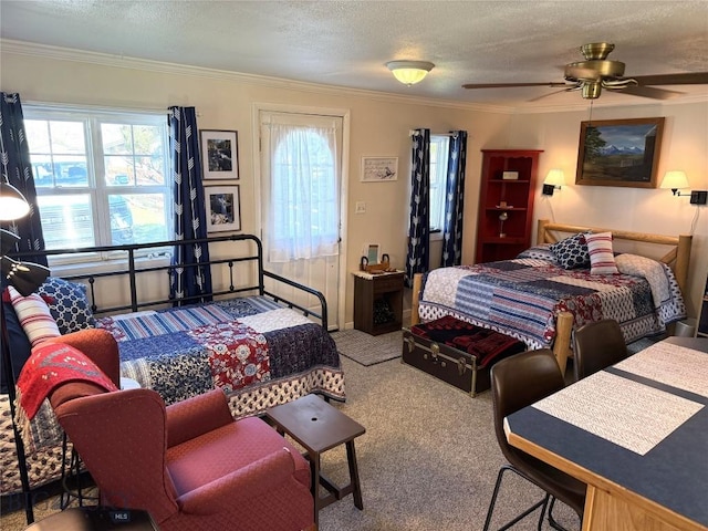 207 2nd St E, Clyde Park, MT 59018 - bedroom featuring multiple windows, ornamental molding, carpet flooring, and a textured ceiling