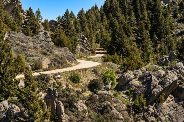 405 Swayback Rd, Mcallister, MT 59740 - view of mountain background with a heavily wooded area