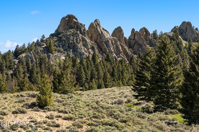 405 Swayback Rd, Mcallister, MT 59740 - view of mountain backdrop with a heavily wooded area