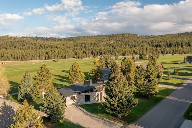 1930 Yellowtail, Big Sky, MT 59716 - bird's eye view of a forest