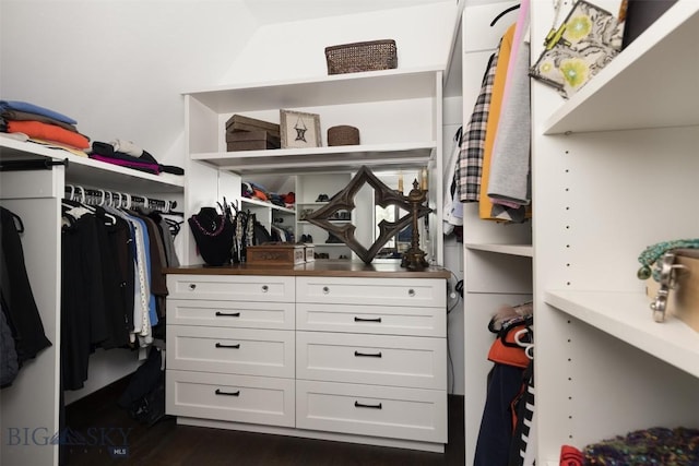 45 Cutthroat Trout, Big Sky, MT 59716 - walk in closet with dark wood-type flooring