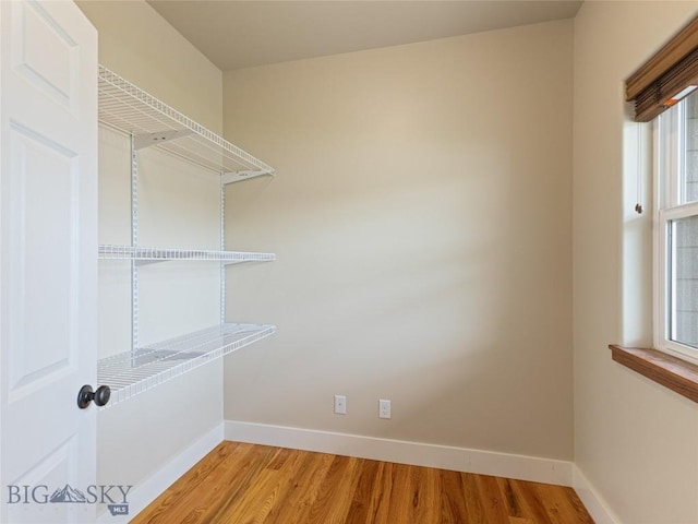 50 Pattee Trl, Bozeman, MT 59718 - walk in closet featuring light wood-style floors
