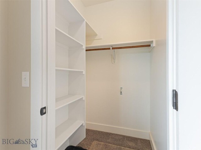50 Pattee Trl, Bozeman, MT 59718 - walk in closet with carpet
