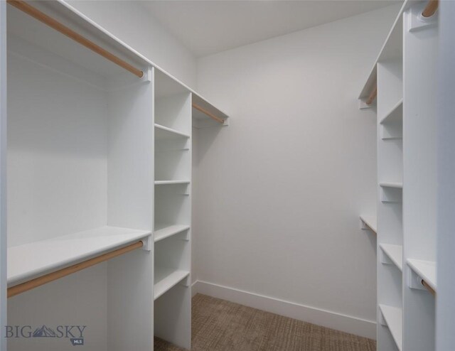 1745 Windward Ave Unit A, Bozeman, MT 59718 - spacious closet with carpet floors