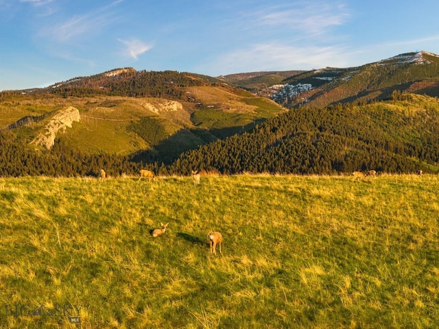 TBD Summit Dr, Gallatin Gateway, MT 59730