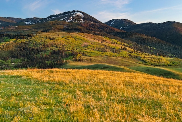 TBD Summit Dr, Gallatin Gateway, MT 59730