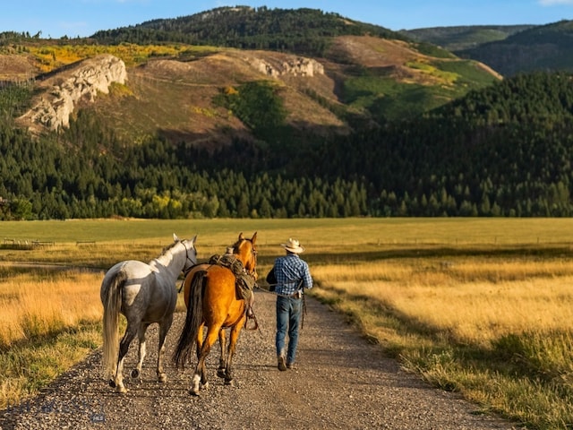TBD Summit Dr, Gallatin Gateway, MT 59730