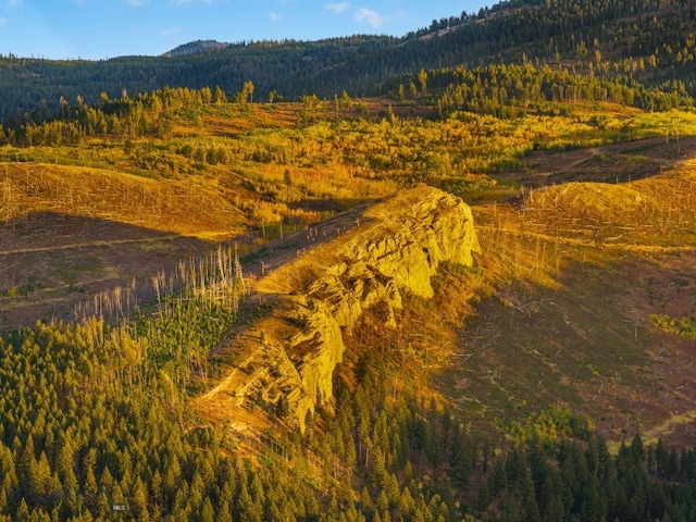 TBD Summit Dr, Gallatin Gateway, MT 59730