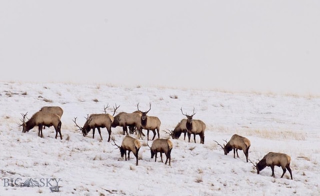 TBD Summit Dr, Gallatin Gateway, MT 59730