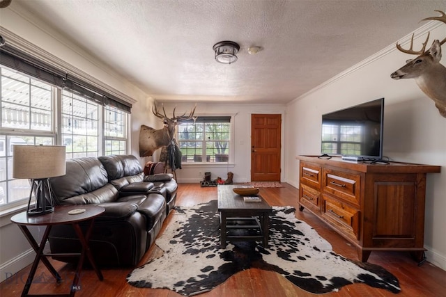 411 W Railroad Ave N, Manhattan, MT 59741 - living room featuring a textured ceiling, wood finished floors, baseboards, and crown molding