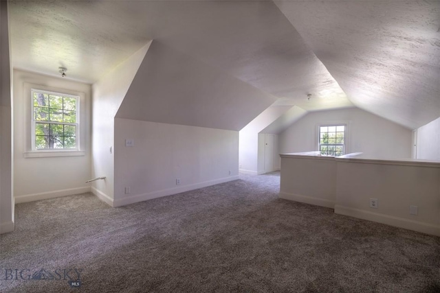 411 W Railroad Ave N, Manhattan, MT 59741 - additional living space featuring vaulted ceiling, baseboards, carpet, and a textured ceiling