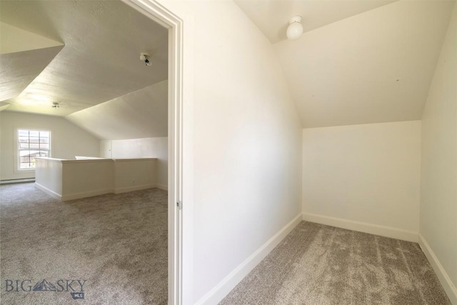411 W Railroad Ave N, Manhattan, MT 59741 - additional living space featuring carpet floors, lofted ceiling, baseboards, and baseboard heating