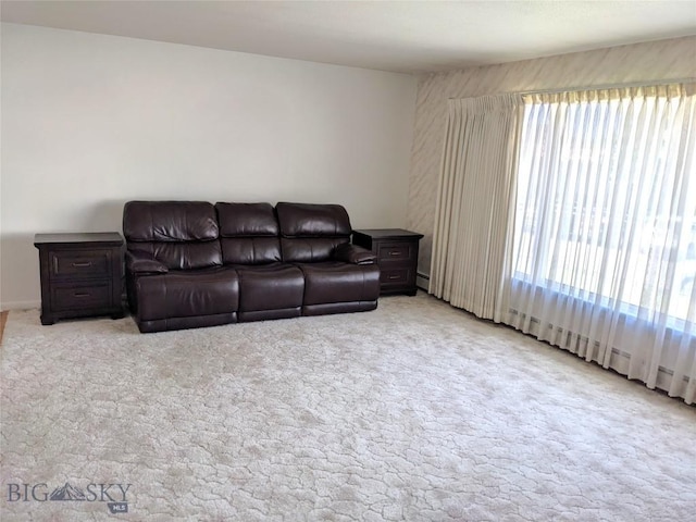 2040 Adams, Butte, MT 59701 - living room with light colored carpet