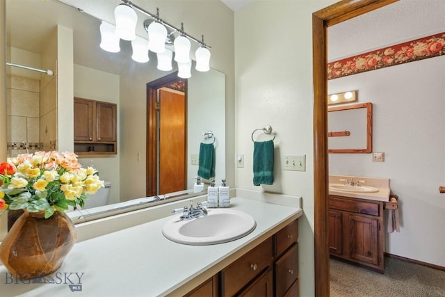 1385 Baldy Mountain Ln, Belgrade, MT 59714 - bathroom featuring vanity and a shower