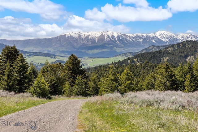 125 Rocky Mountain Mdws, Bozeman, MT 59715 - view of mountain background featuring a heavily wooded area