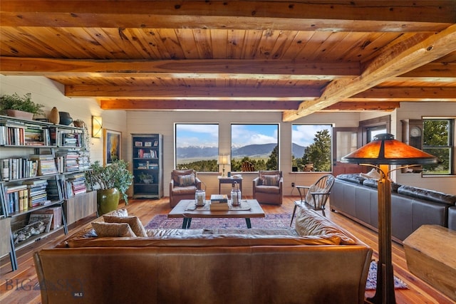 125 Rocky Mountain Mdws, Bozeman, MT 59715 - living area with hardwood / wood-style floors, healthy amount of natural light, wooden ceiling with exposed beams, and a mountain view