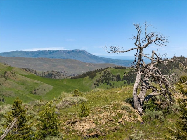 125 Rocky Mountain Mdws, Bozeman, MT 59715 - view of mountain backdrop