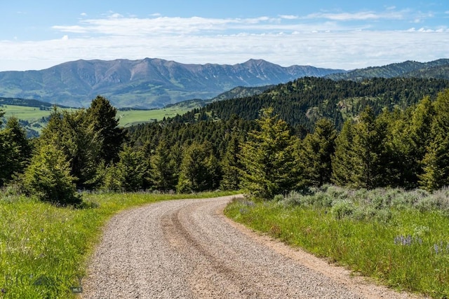 125 Rocky Mountain Mdws, Bozeman, MT 59715 - view of mountain backdrop featuring a heavily wooded area