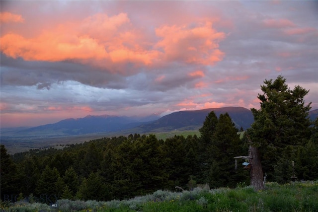 125 Rocky Mountain Mdws, Bozeman, MT 59715 - view of mountain background with a forest