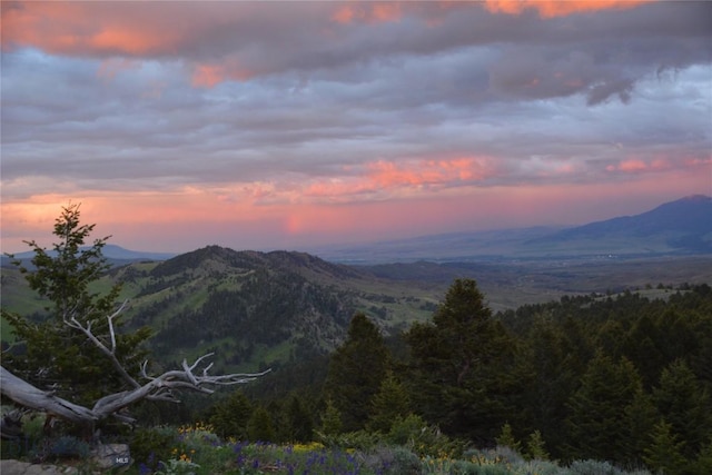 125 Rocky Mountain Mdws, Bozeman, MT 59715 - view of mountain backdrop with a heavily wooded area