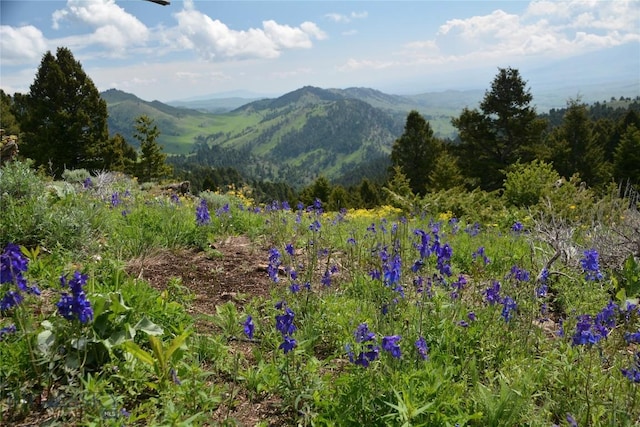 125 Rocky Mountain Mdws, Bozeman, MT 59715 - mountain view