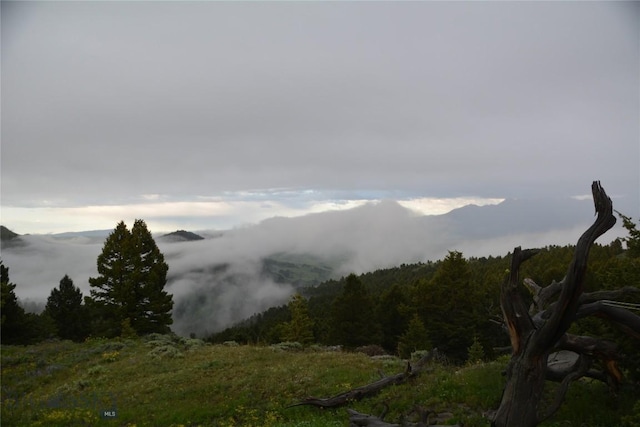 125 Rocky Mountain Mdws, Bozeman, MT 59715 - view of mountain backdrop featuring a forest
