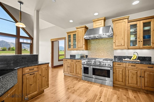 306 Glenbrook Ln, Belgrade, MT 59714 - kitchen featuring double oven range, ventilation hood, tasteful backsplash, light wood finished floors, and recessed lighting