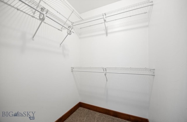4068 Opal St, Bozeman, MT 59718 - walk in closet featuring dark colored carpet