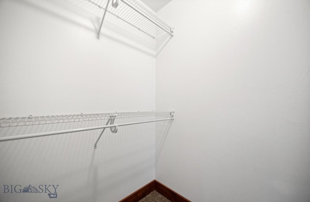 4068 Opal St, Bozeman, MT 59718 - view of spacious closet
