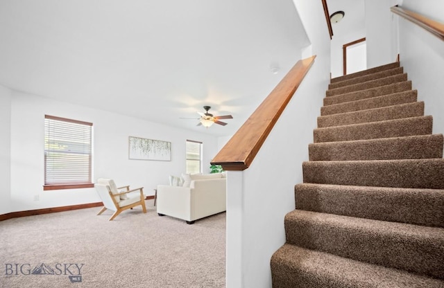 4068 Opal St, Bozeman, MT 59718 - staircase featuring carpet floors, baseboards, and a ceiling fan