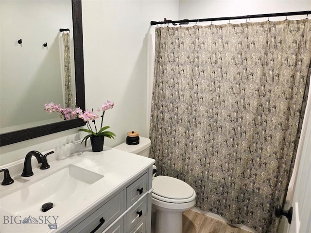 108 E 9th Ave, Twin Bridges, MT 59754 - full bath with toilet, vanity, wood finished floors, and a shower with shower curtain