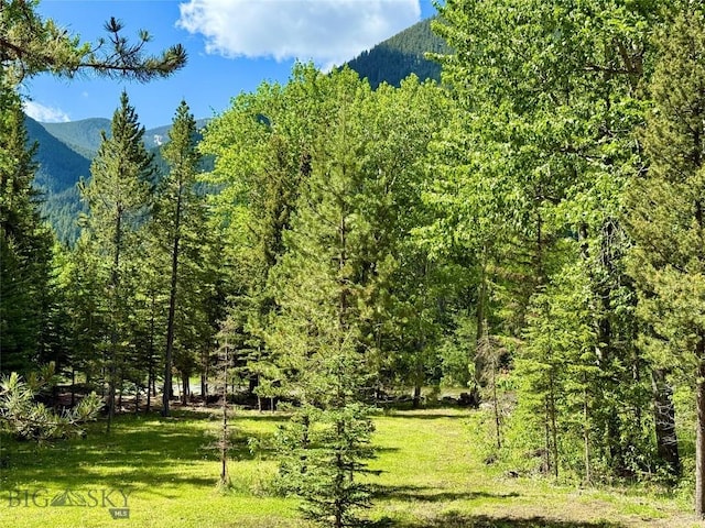 14 Ken Dan, Mcleod, MT 59052 - view of mountain background with a forest