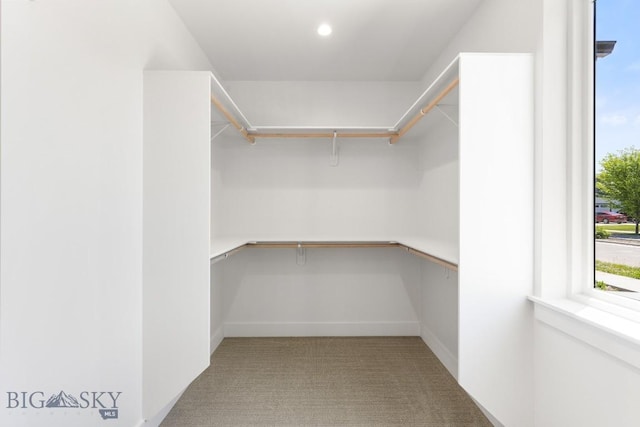 4149 Annie St, Bozeman, MT 59718 - walk in closet with light colored carpet