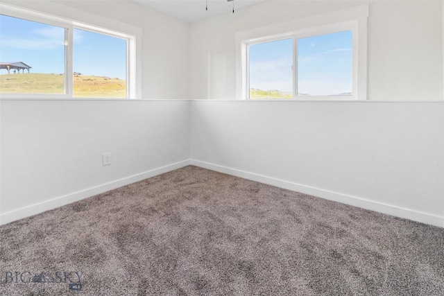 9 Murray Ln, Three Forks, MT 59721 - unfurnished room with carpet and baseboards