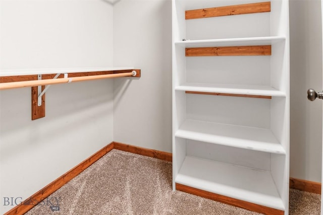 9 Murray Ln, Three Forks, MT 59721 - spacious closet with carpet flooring