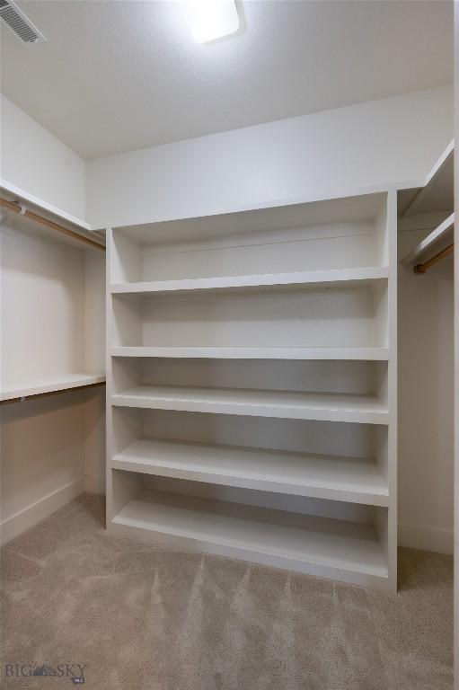 45 Spain Bridge Circle Dr, Belgrade, MT 59714 - walk in closet with carpet flooring