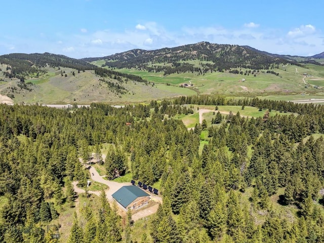 601 Forest Hills Rd, Bozeman, MT 59715 - photo 11